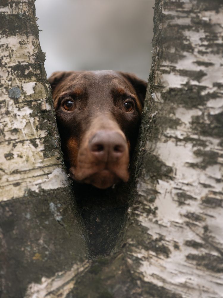 Photograph by Мария Клещенко