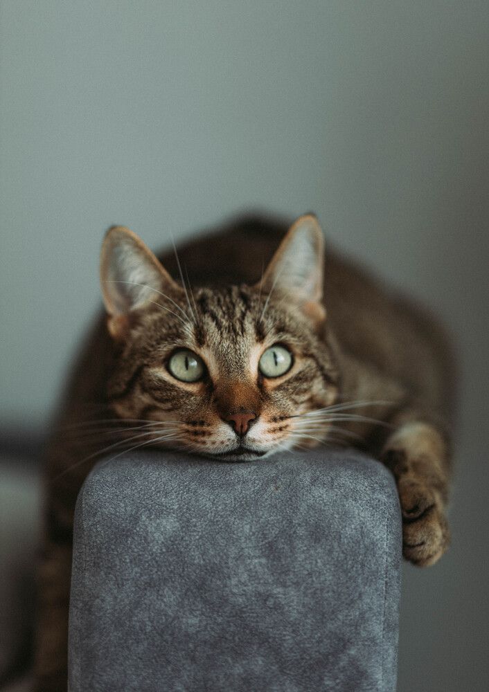 Photograph by Ирина Легкая