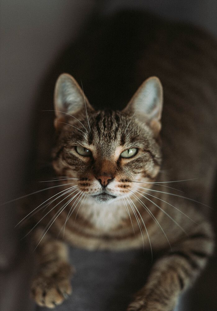 Photograph by Ирина Легкая