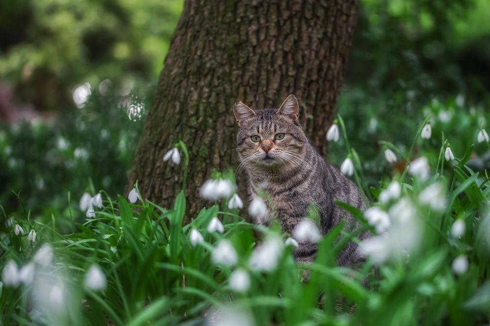 Photograph by Дмитренко Екатерина