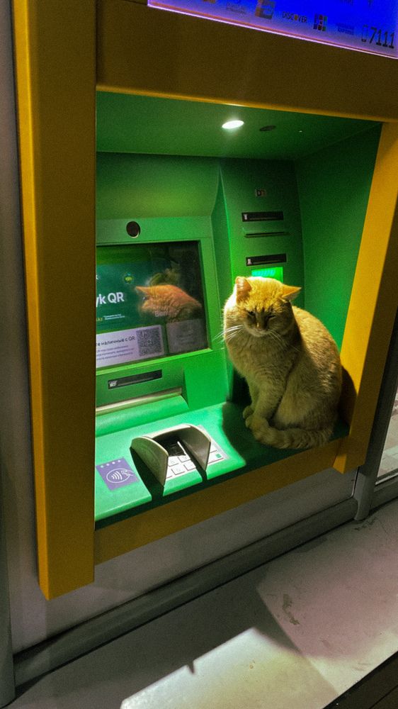 Photograph by Анжелика Кокшарова