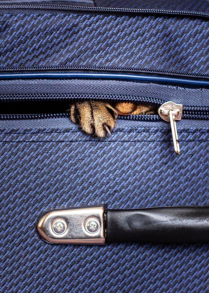 Photograph by Гульшат Хаертдинова