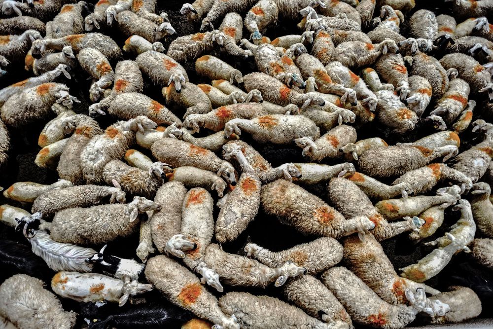 Photograph by Vladimir Shish