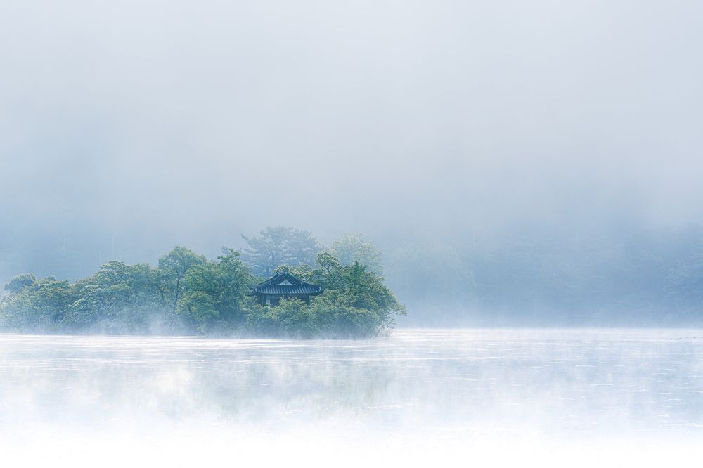 Beauty of the Lake Garden