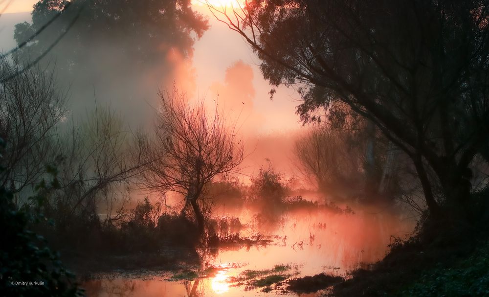 Photograph by Дмитрий Куркулин