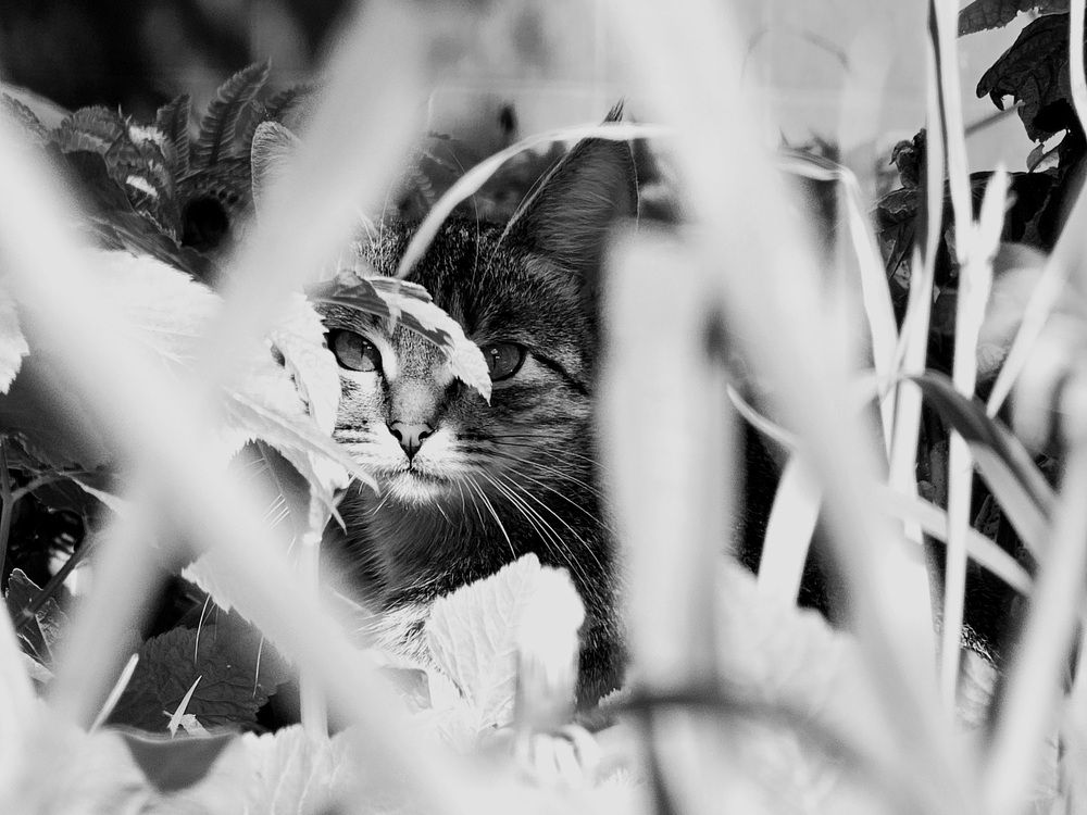 Photograph by Maria Yakovleva