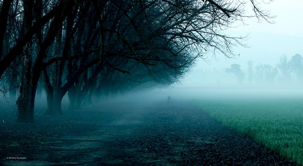 Photograph by Дмитрий Куркулин