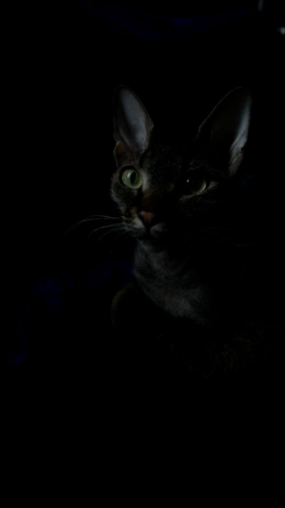 Photograph by Светлана Родионова