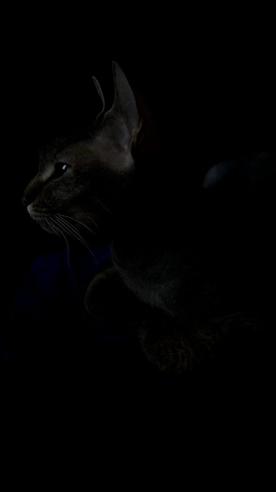 Photograph by Светлана Родионова