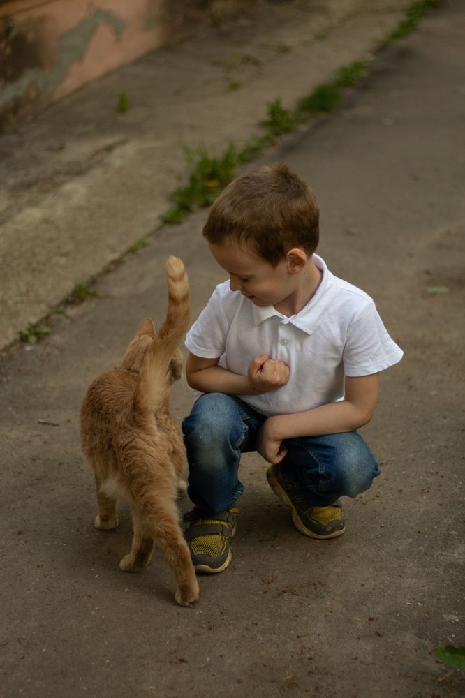 Photograph by Кристина Покатаева