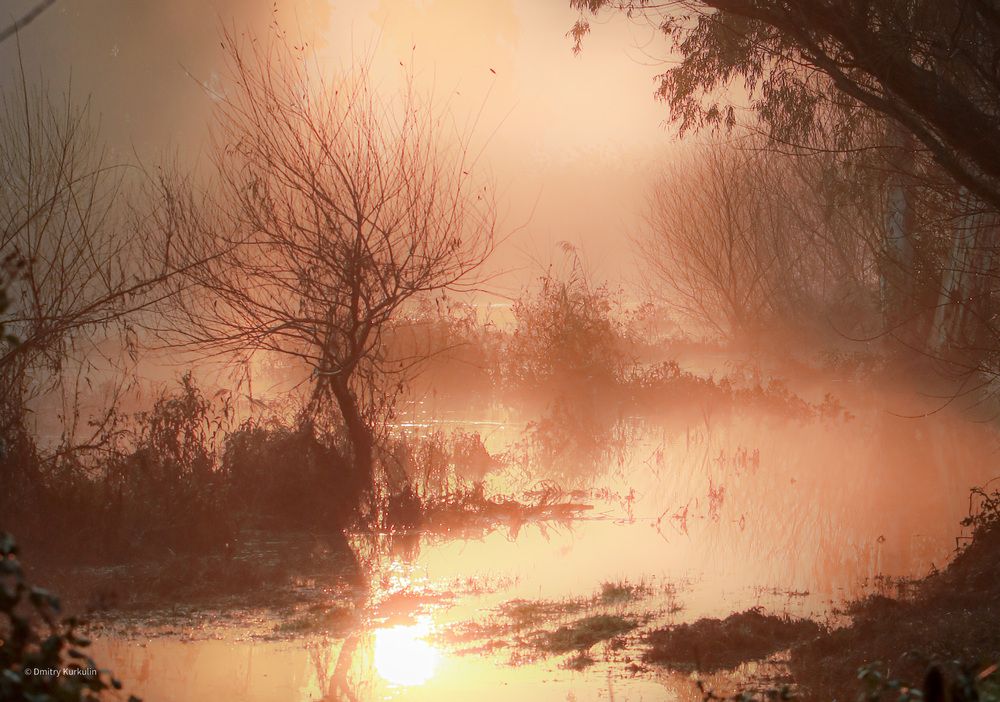 Photograph by Дмитрий Куркулин