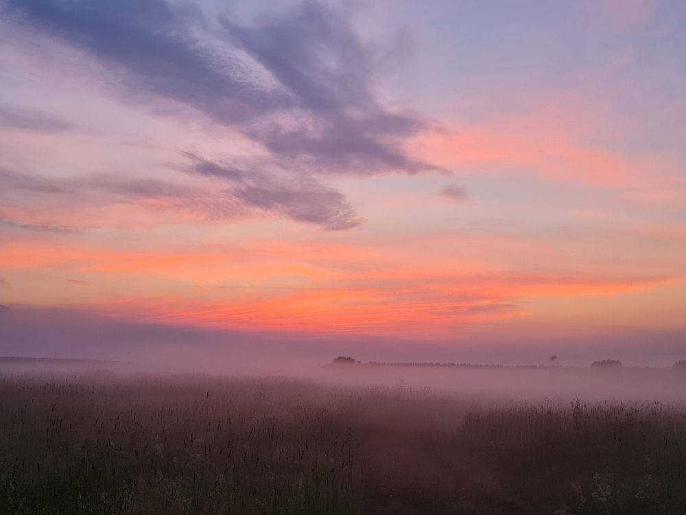 Photograph by Екатерина