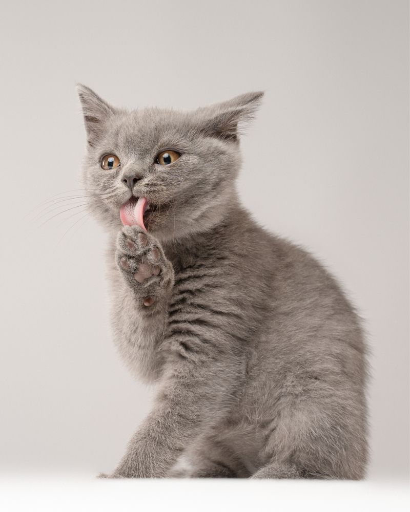 Фотография автора Almasconpelo