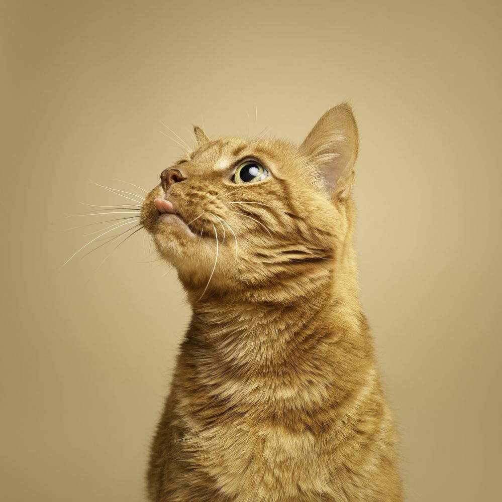 Фотография автора Almasconpelo