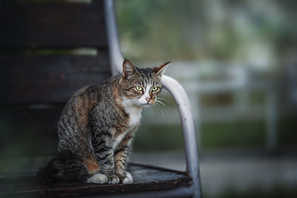 Photograph by Наталия Матвеева