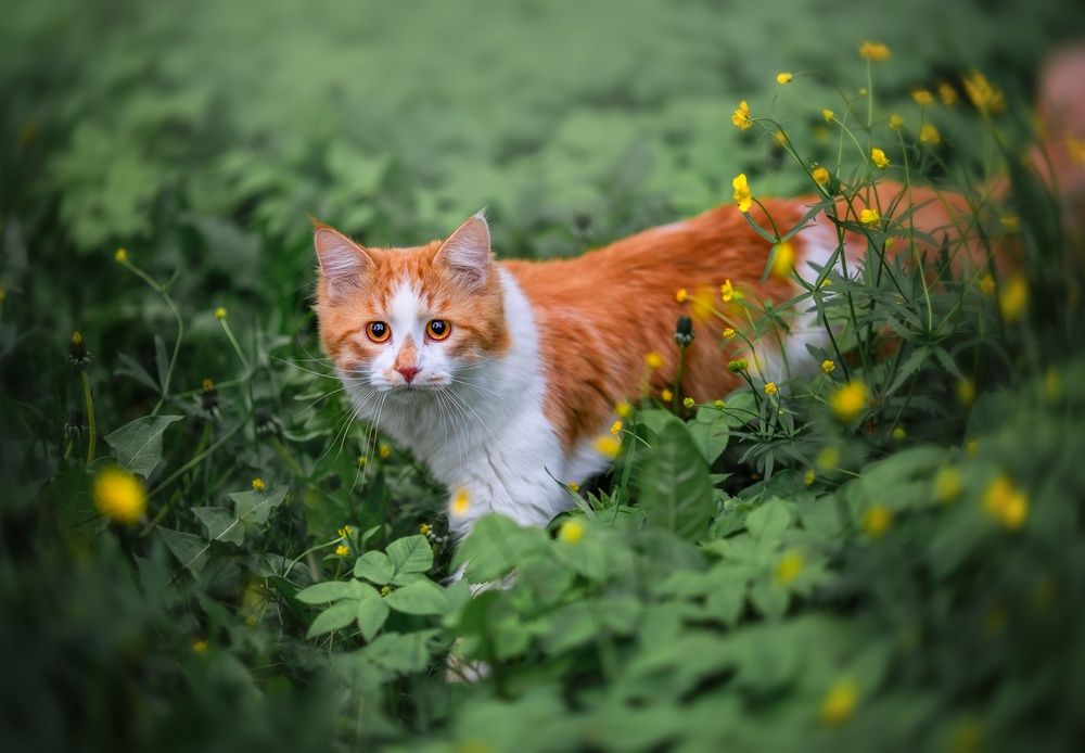 Photograph by Наталия Матвеева