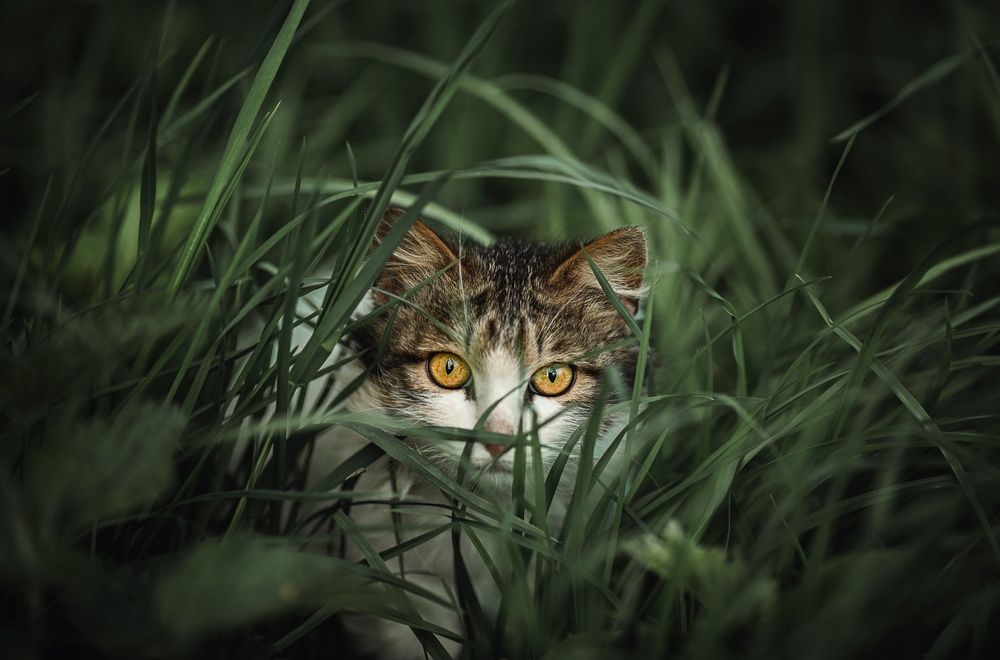 Photograph by Наталия Матвеева