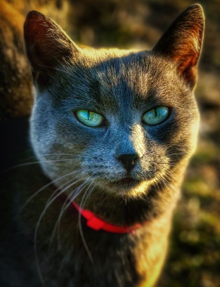 Фотография автора Evgeniya Ivanova