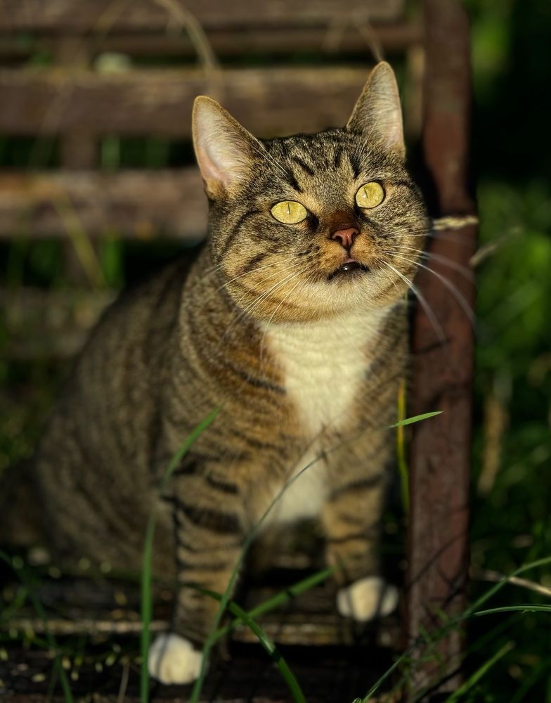 Фотография автора Evgeniya Ivanova