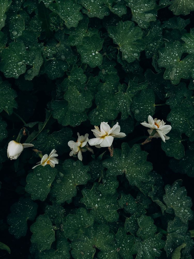 Photograph by Алиса Нежинская