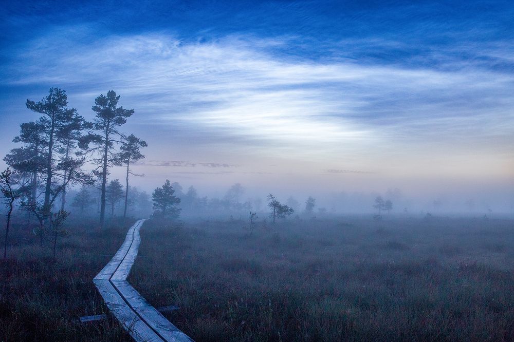 Photograph by Andres Papp