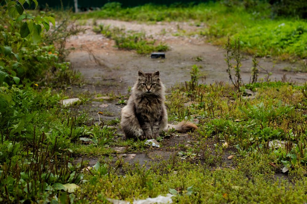 Photograph by Сергей Кутьин
