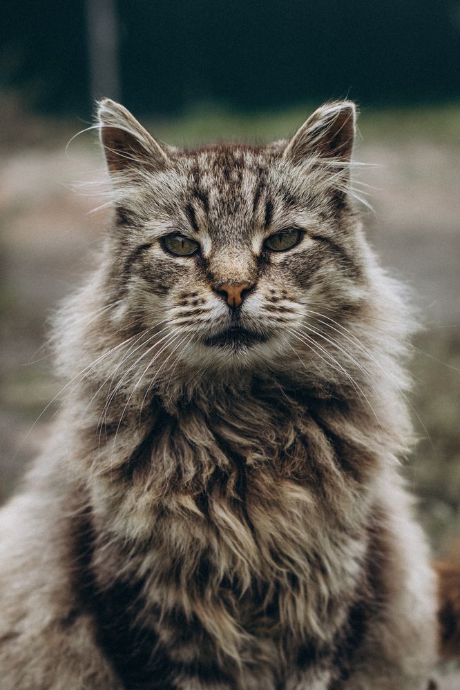 Photograph by Сергей Кутьин