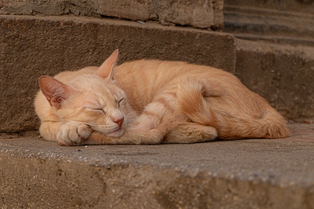 Фотография автора Ilyes Benaissa