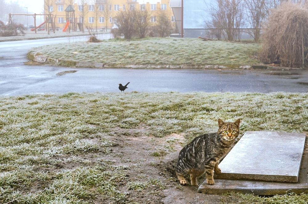 Photograph by Kveta Novotna