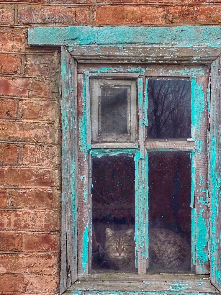 Photograph by Ирина Хлебникова