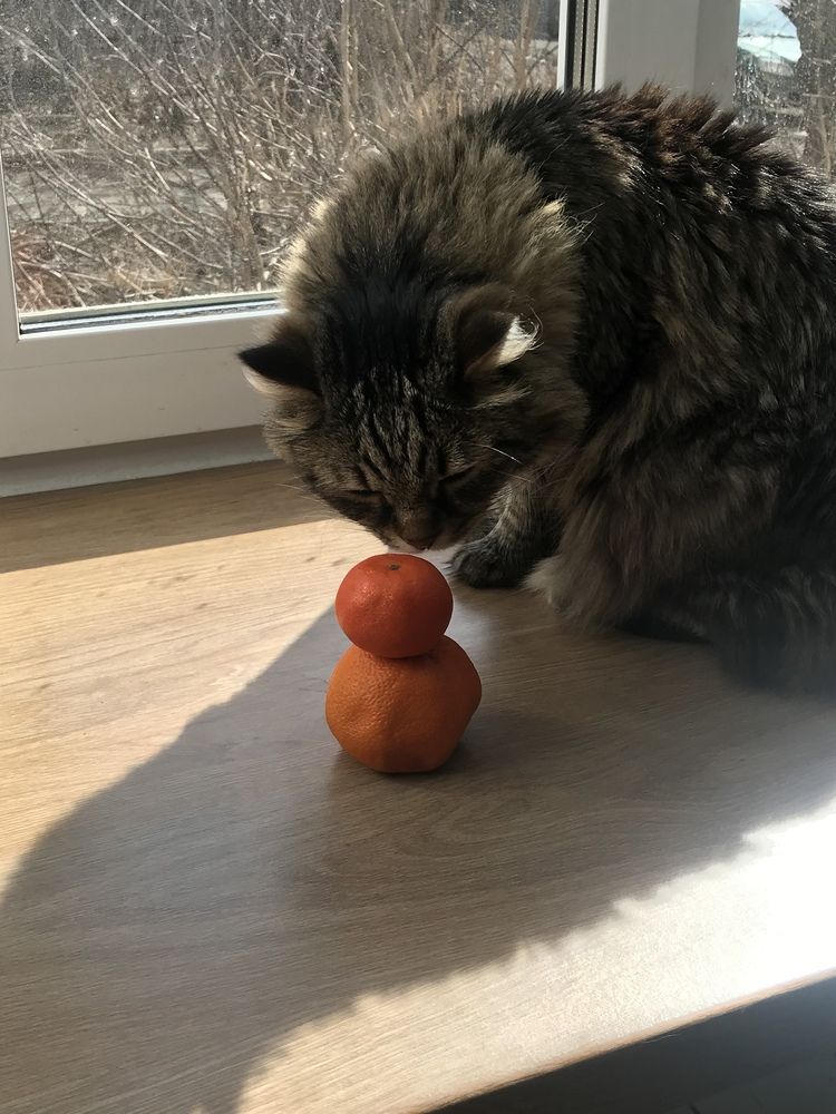 Что-то новенькое….