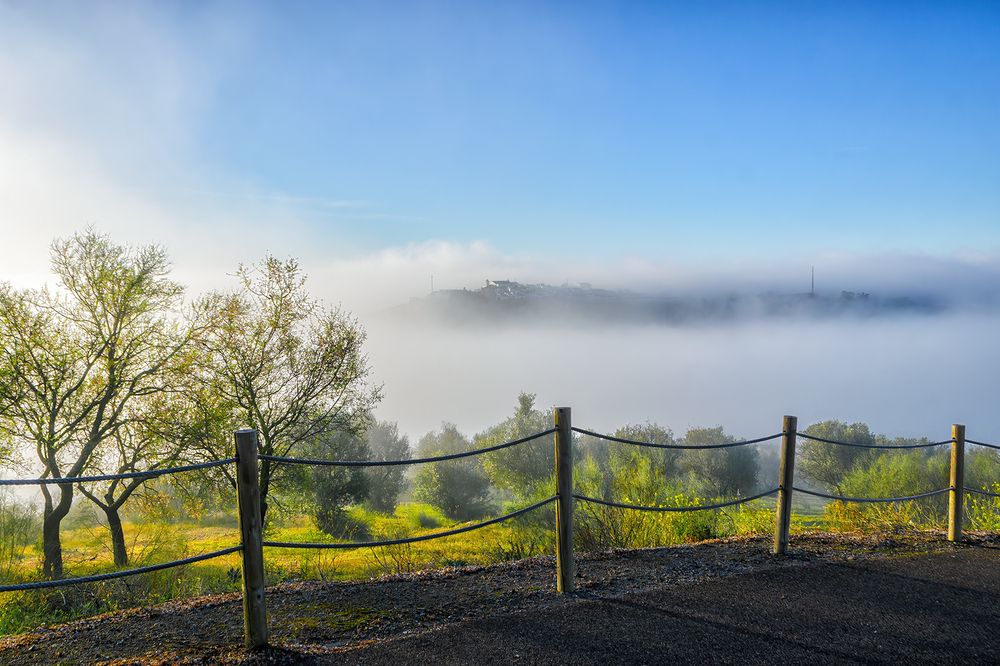 Photograph by Veaceslav Chisalita