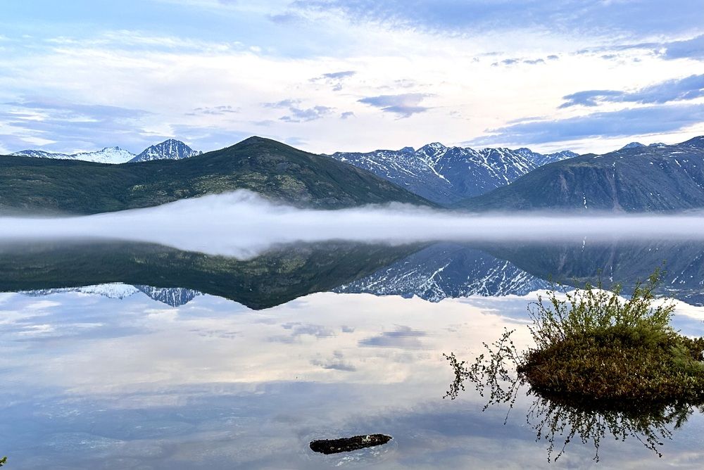 Утренний туман