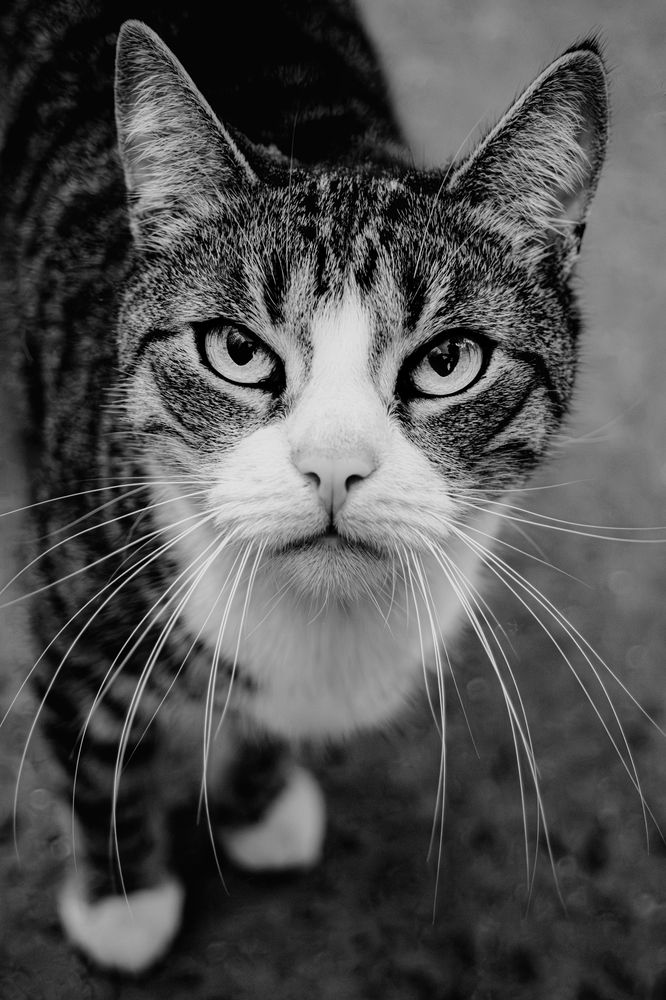 Photograph by Анна Федотова