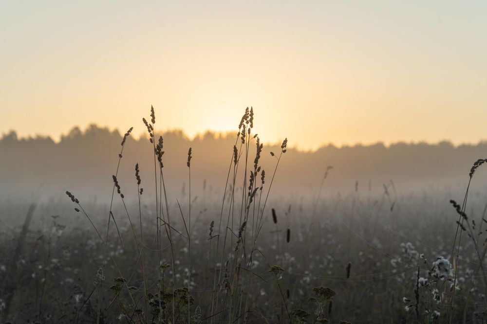 Photograph by Евгения Ковригина