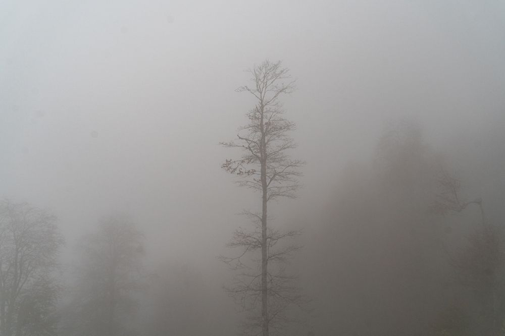 Photograph by Евгения Ковригина