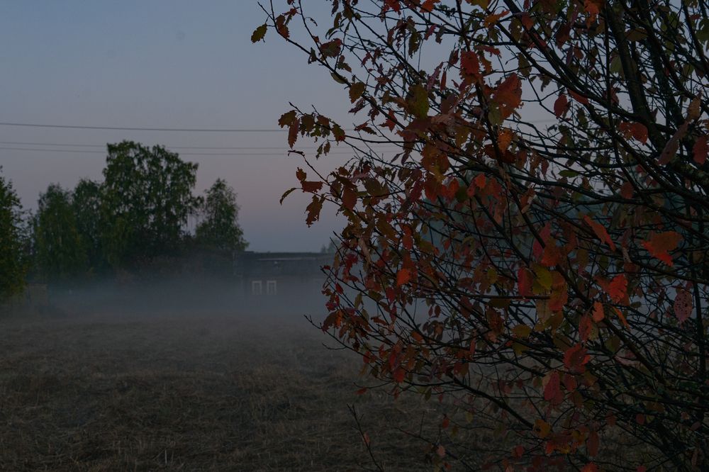 Photograph by Евгения Ковригина