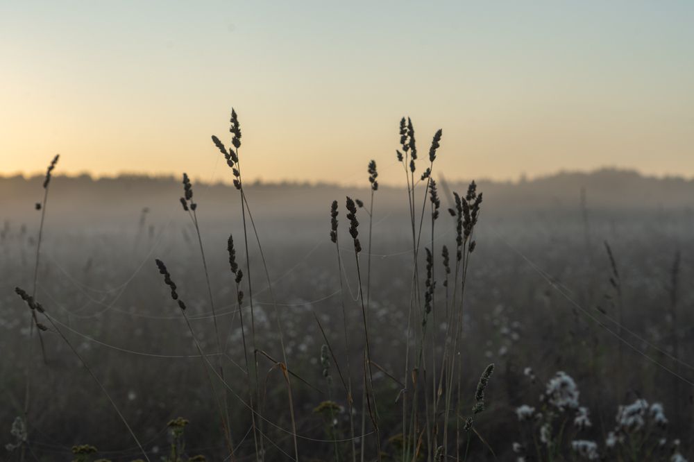Photograph by Евгения Ковригина