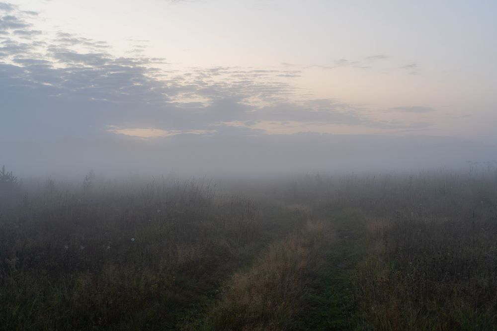 Photograph by Евгения Ковригина