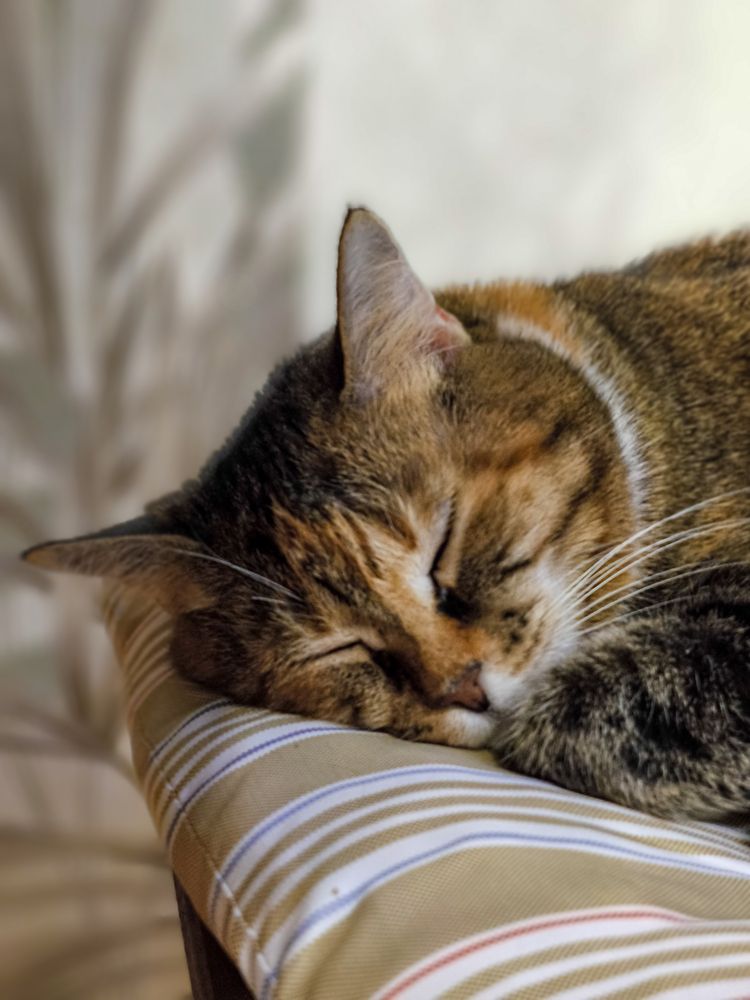 Photograph by Шейко Анна