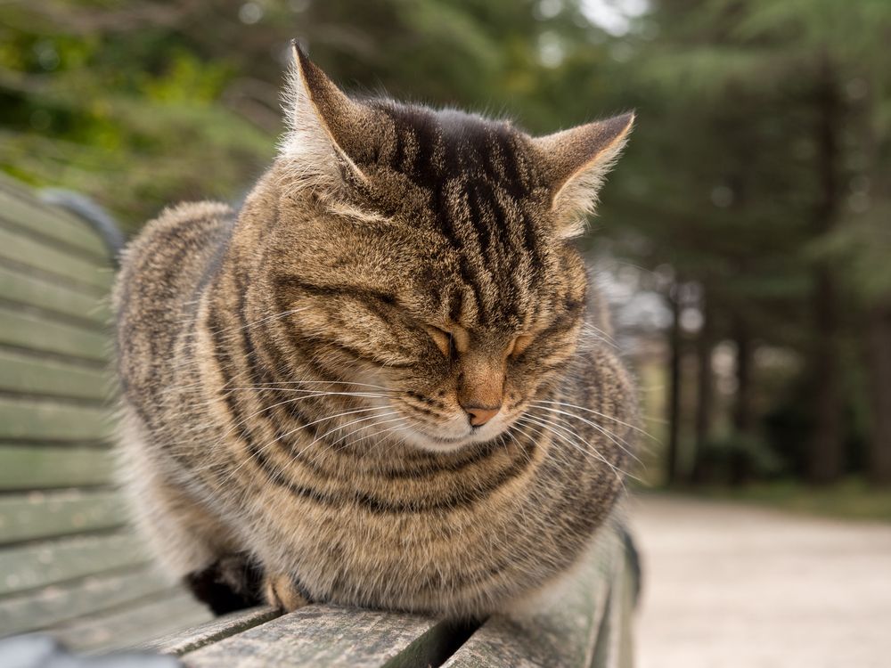 Photograph by Шейко Анна