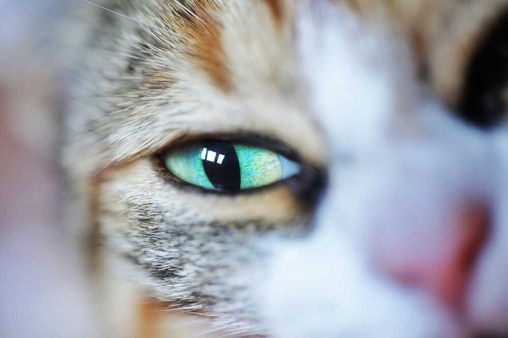 Photograph by Ignacio