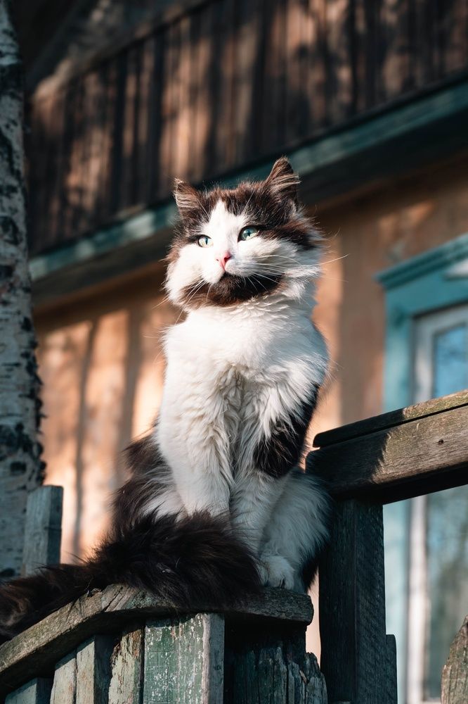 Photograph by Taras Shevchenko