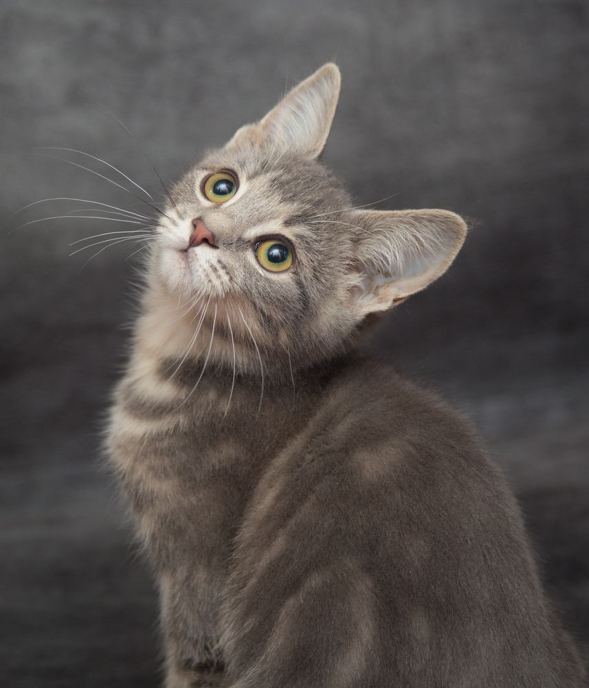 Photograph by Сергей Алексеев