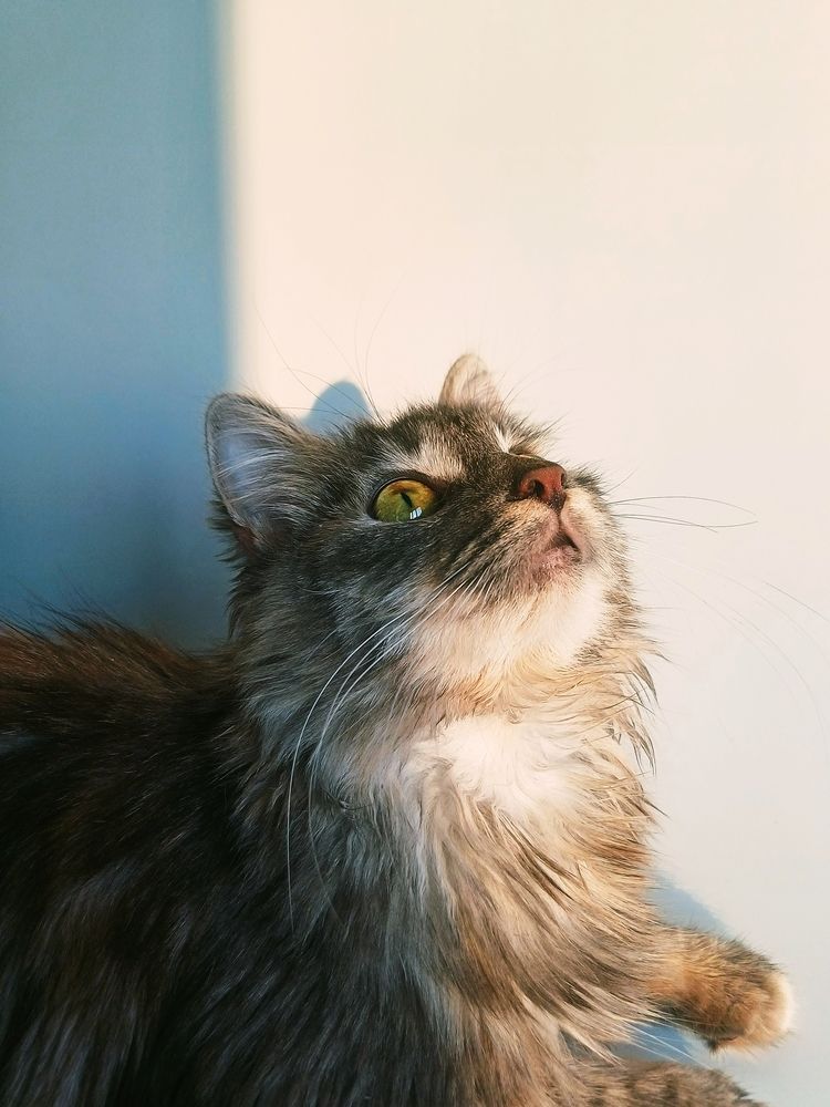 Photograph by Anna Grinkevich