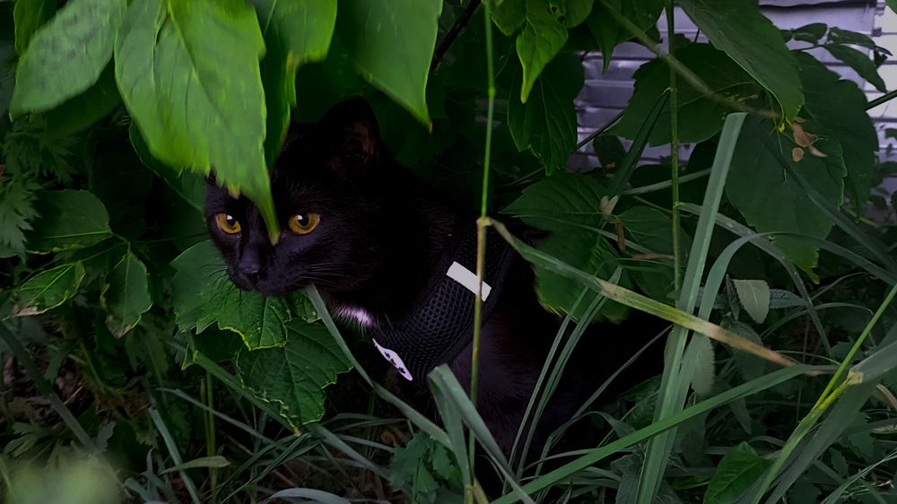 Photograph by Елена Ерасова