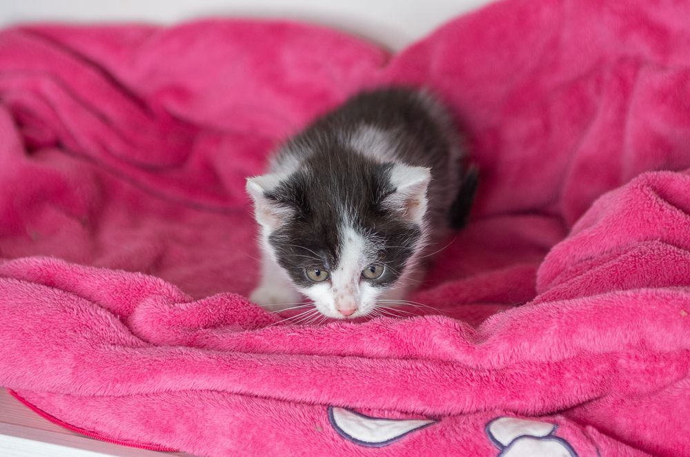 Photograph by Зарецкий Юрий