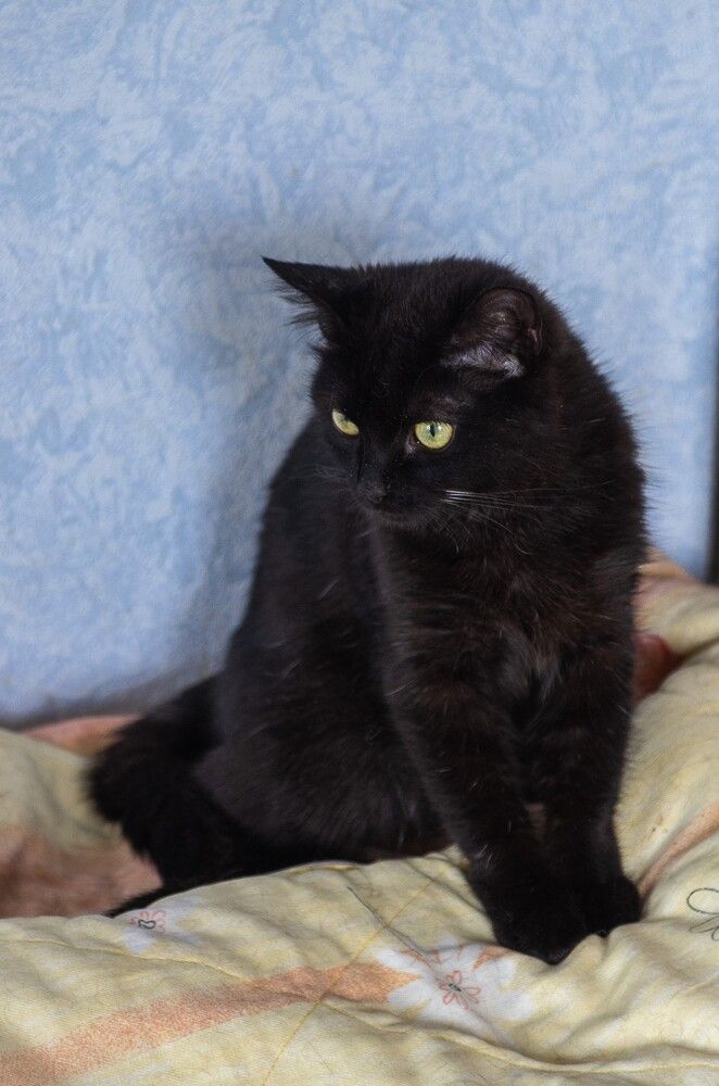 Photograph by Зарецкий Юрий