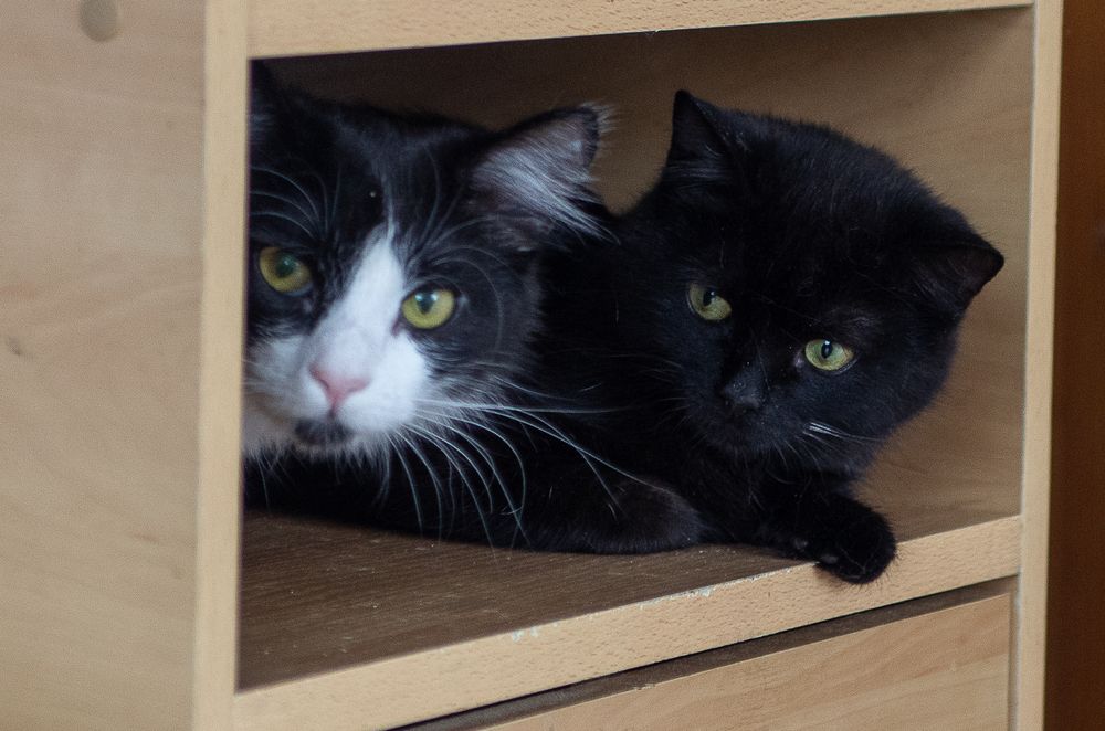 Photograph by Зарецкий Юрий