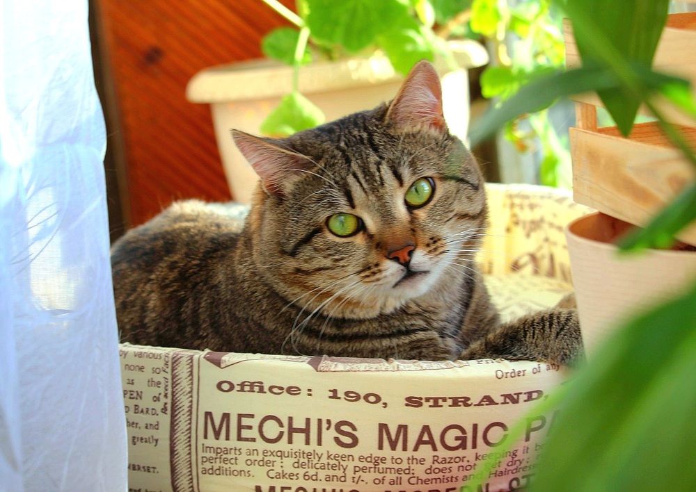 Photograph by Ирина Саттарова